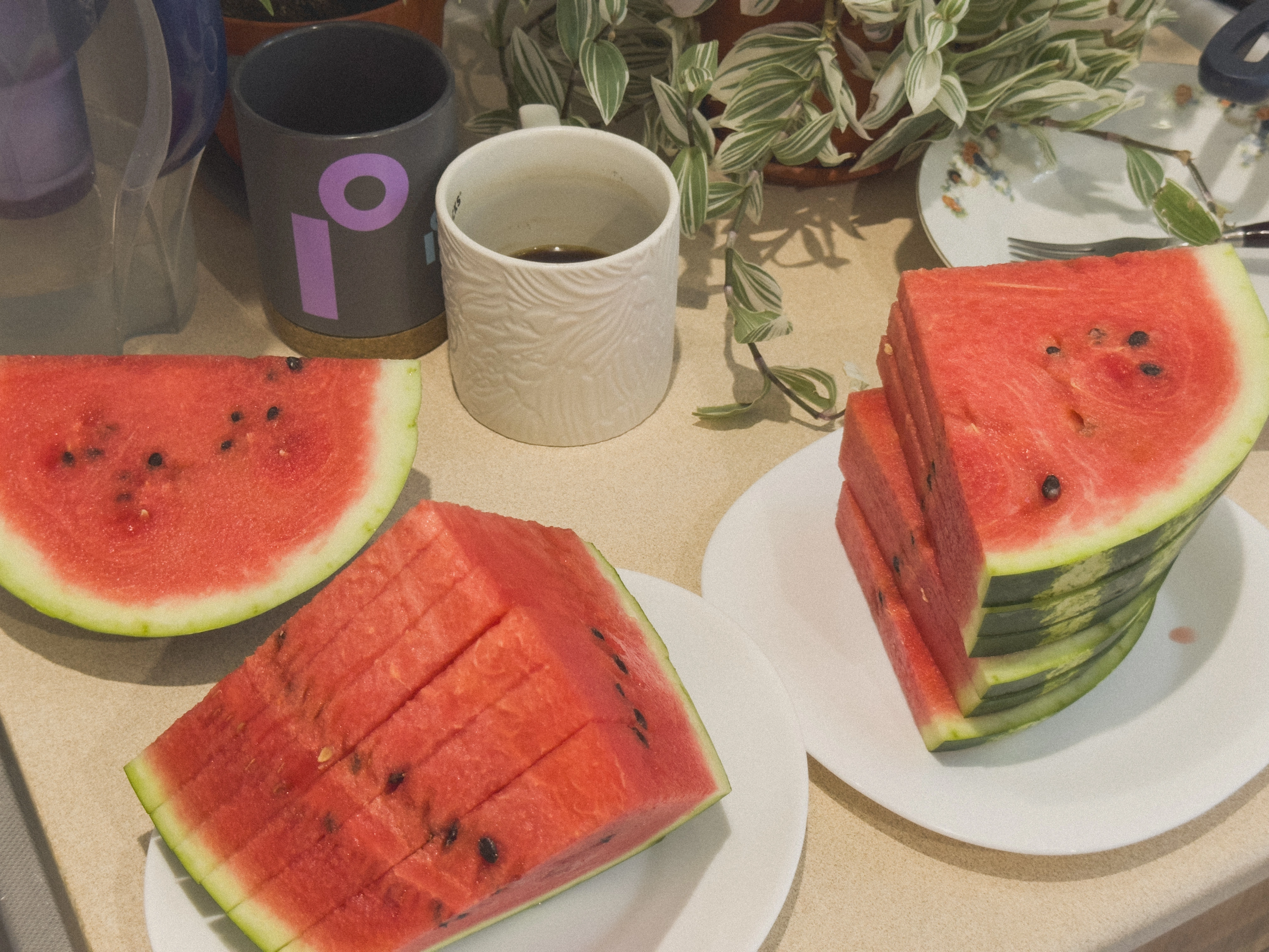 Обложка: Сентрябрь. Судя по всему он работает менеджером странного заведения под названием «Ресторан медуз» или как я влупил арбуза