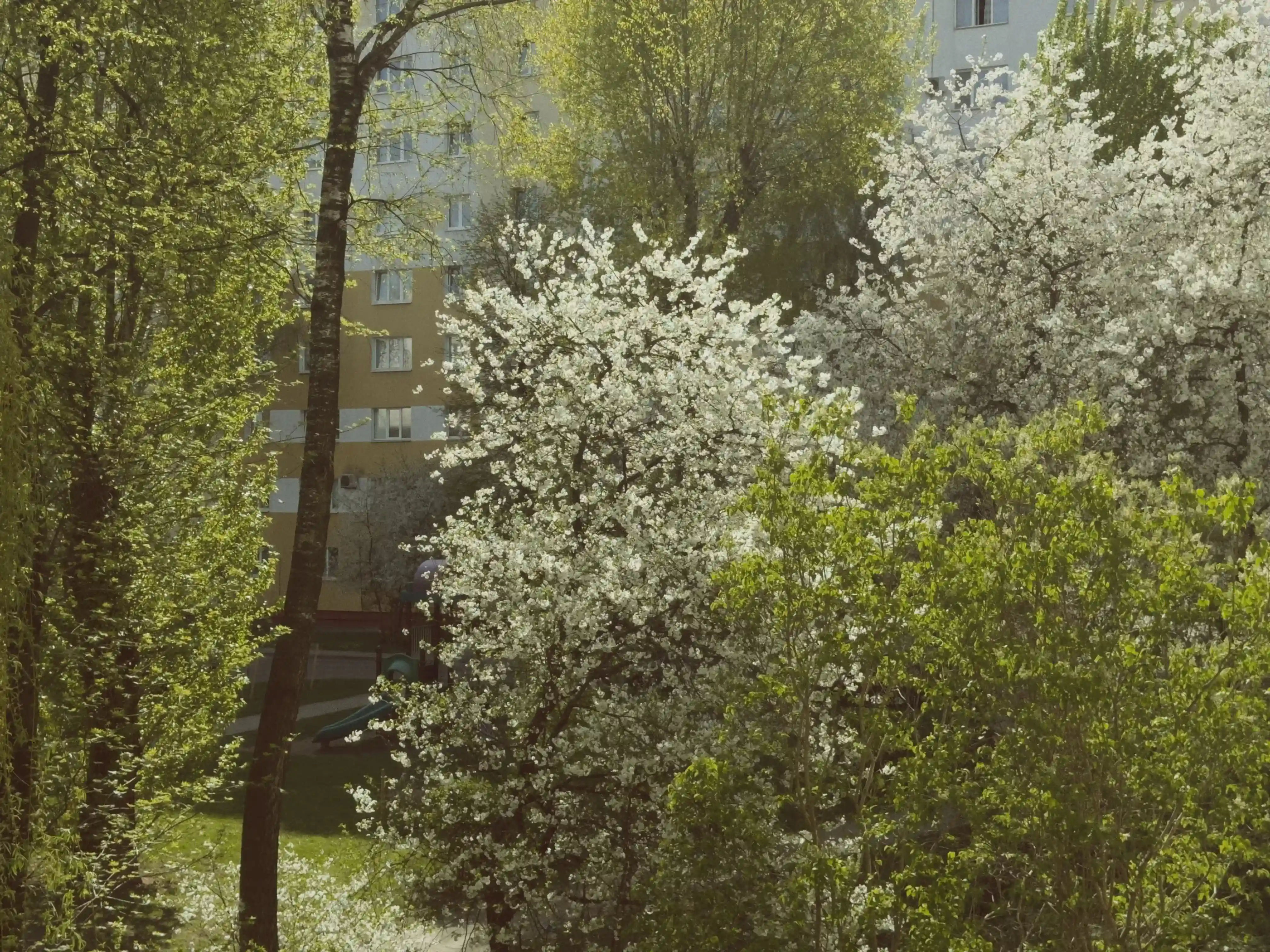 Обложка: Апрель. Дорога перемен или вампир не умеет правильно сосать, и нам каждый раз становится неуютно.